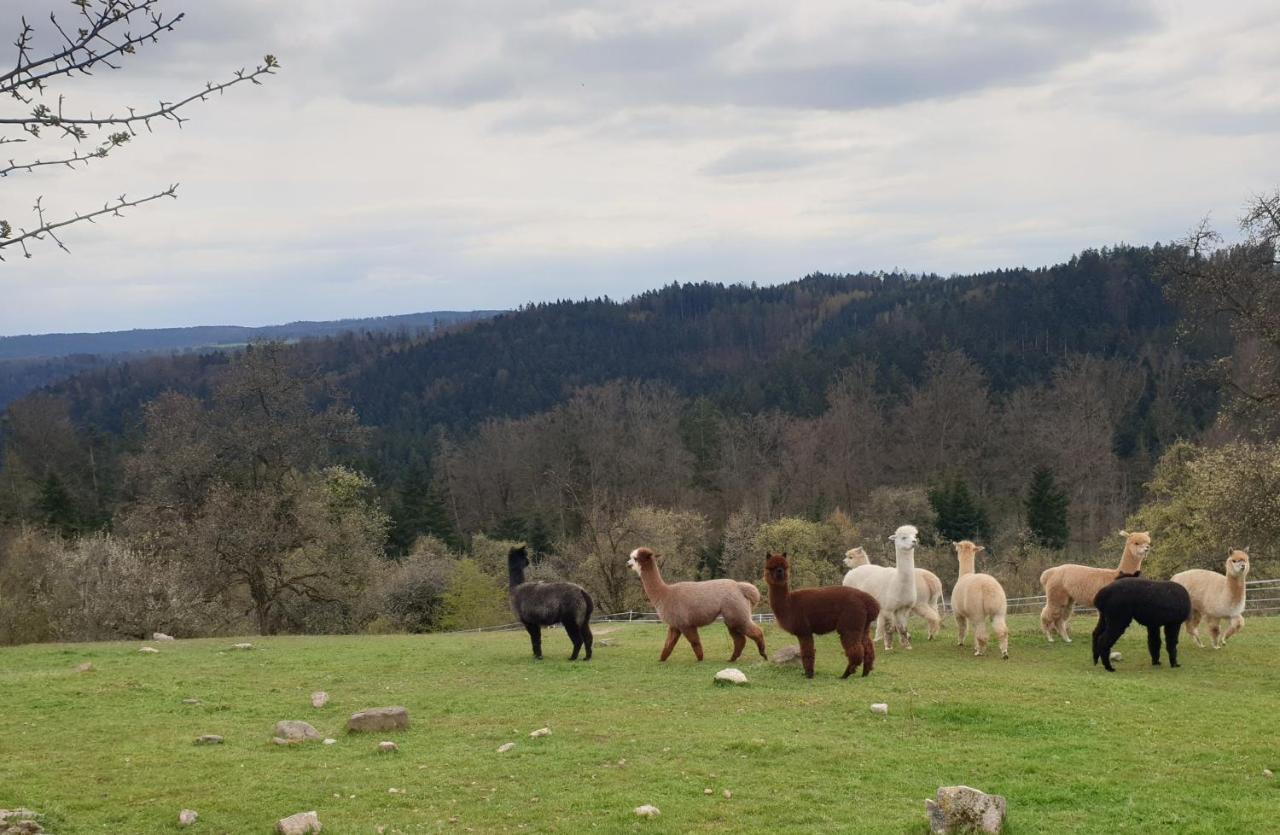 Lana Salta Alpakas - Gemuetliche Ferienwohnungen Auf Dem Bauernhof Murrhardt エクステリア 写真