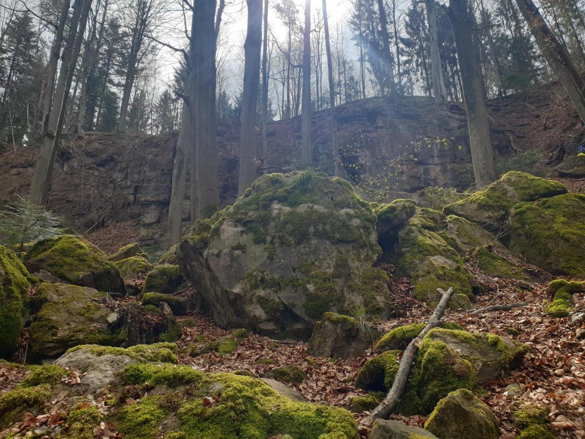 Lana Salta Alpakas - Gemuetliche Ferienwohnungen Auf Dem Bauernhof Murrhardt エクステリア 写真